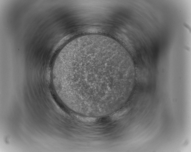 X0000097950016200804211048