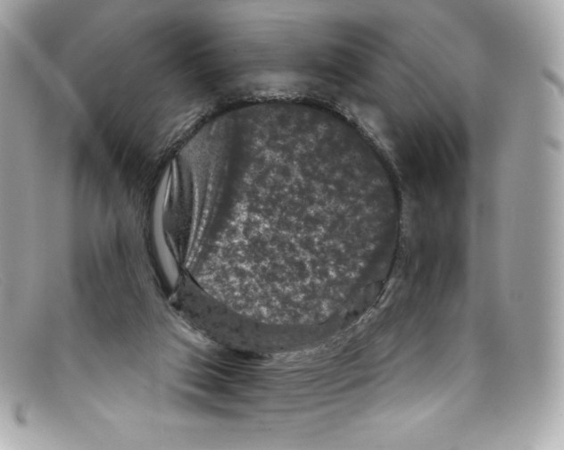 X0000097950017200804211048