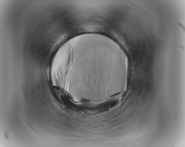 X0000097950019200804211048