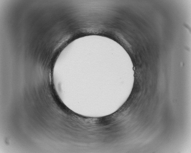 X0000097950020200804211048