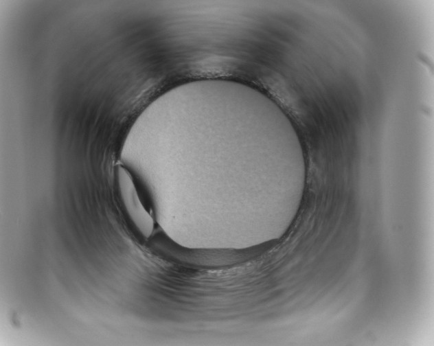 X0000097950021200804211048