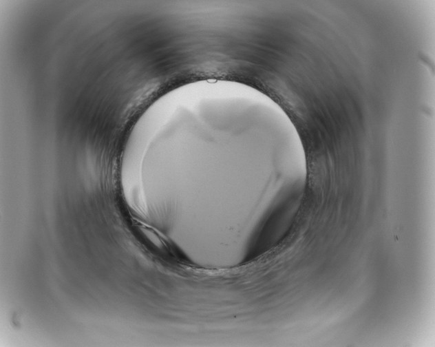 X0000097950023200804211048