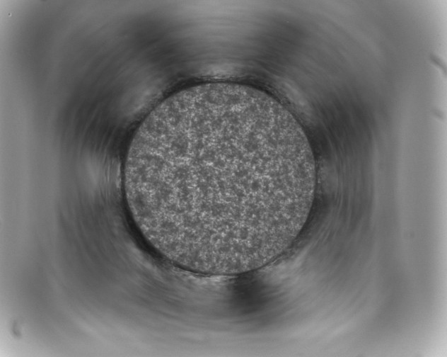 X0000097950024200804211048