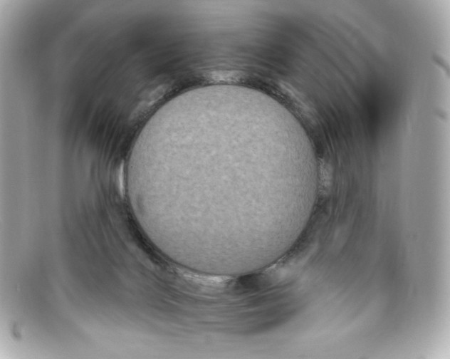 X0000097950028200804211047