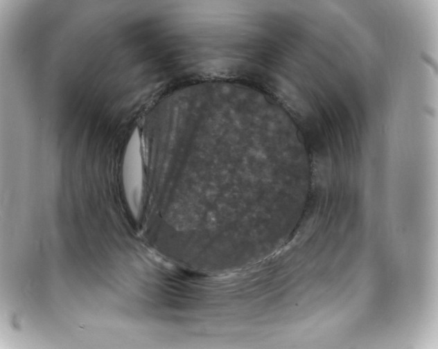 X0000097950029200804211047