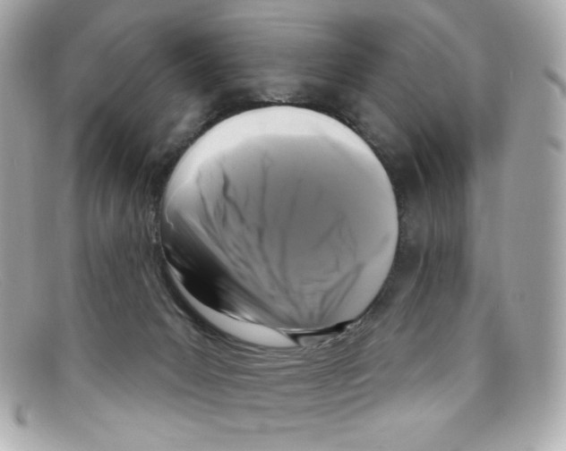 X0000097950031200804211047
