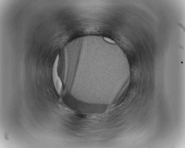 X0000097950033200804211047