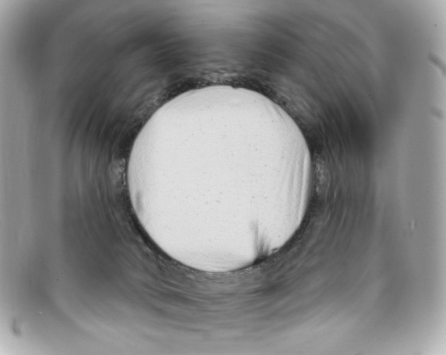 X0000097950034200804211047