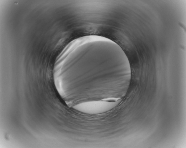 X0000097950035200804211047
