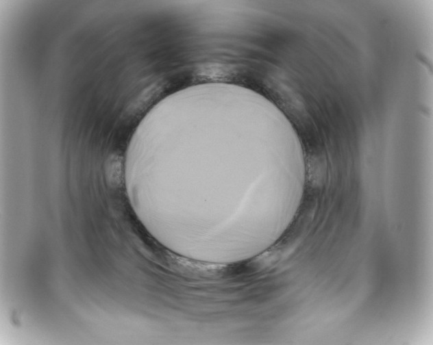X0000097950036200804211047