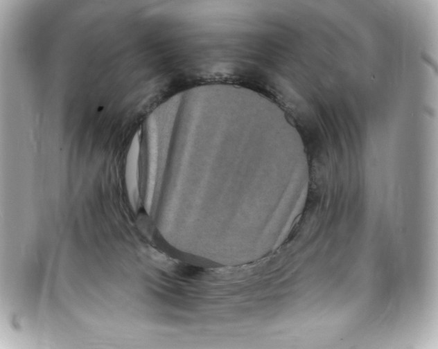 X0000097950037200804211047