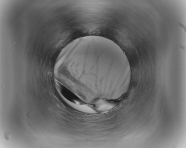 X0000097950039200804211047