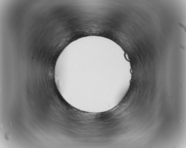 X0000097950040200804211047