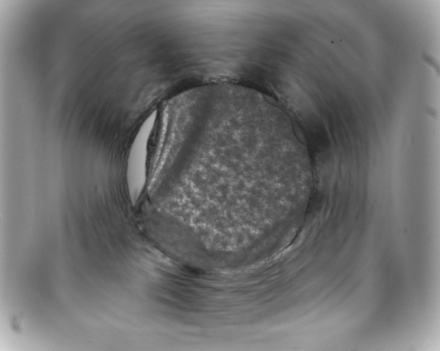 X0000097950041200804211047