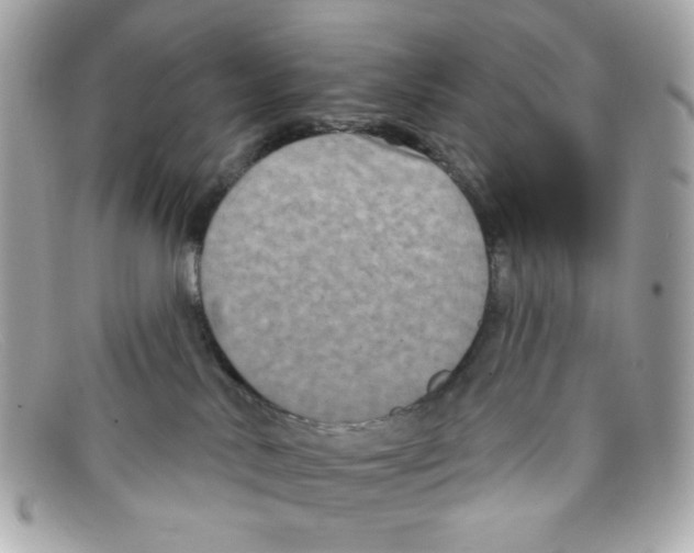 X0000097950042200804211047