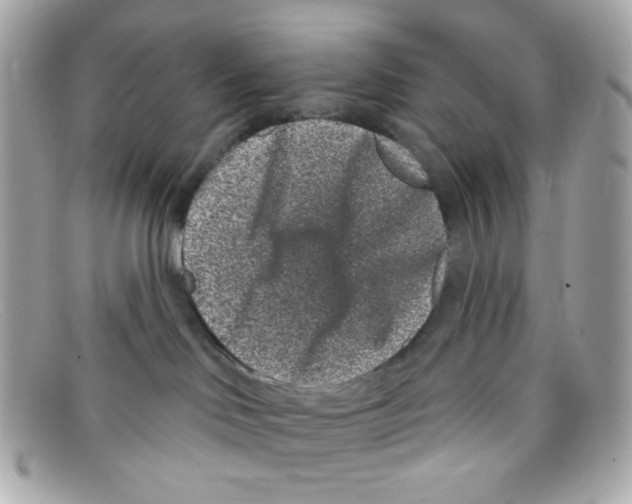 X0000097950046200804211047