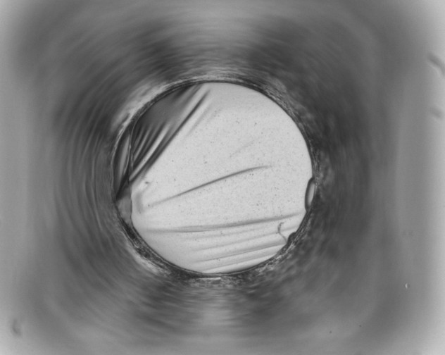 X0000097950050200804211047