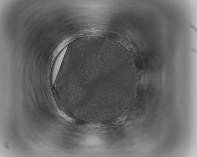 X0000097950051200804211047