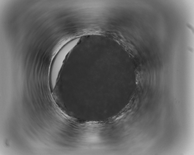 X0000097950052200804211047