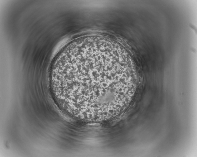 X0000097950053200804211047