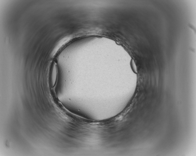 X0000097950054200804211047