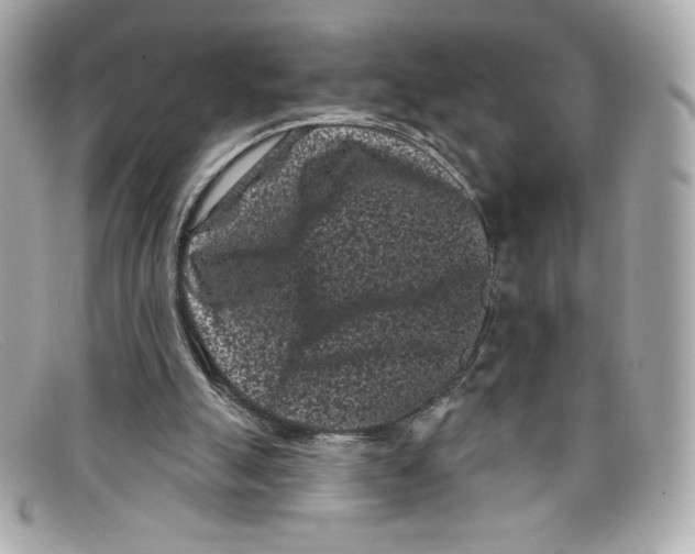 X0000097950055200804211047