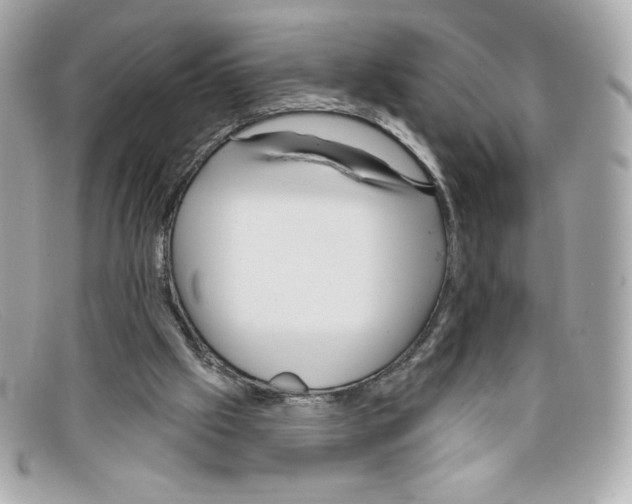 X0000097950057200804211047