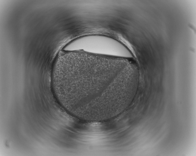 X0000097950059200804211047
