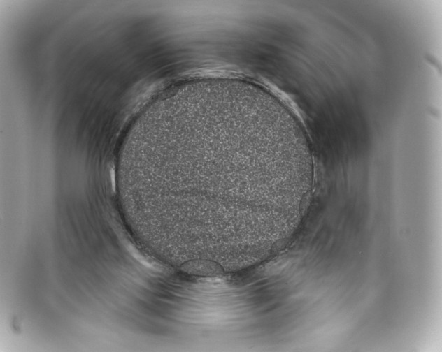 X0000097950061200804211047