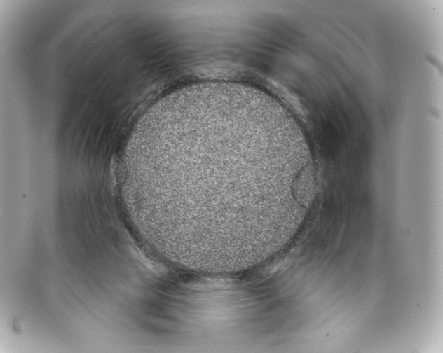 X0000097950065200804211047