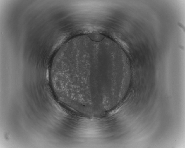 X0000097950067200804211047