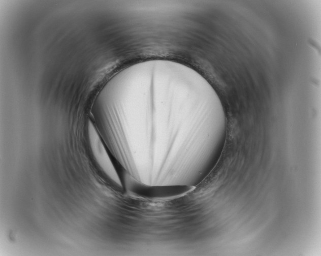 X0000097950068200804211047