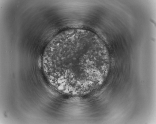 X0000097950069200804211047
