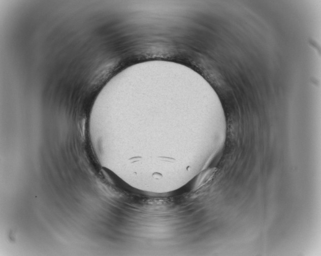 X0000097950070200804211047