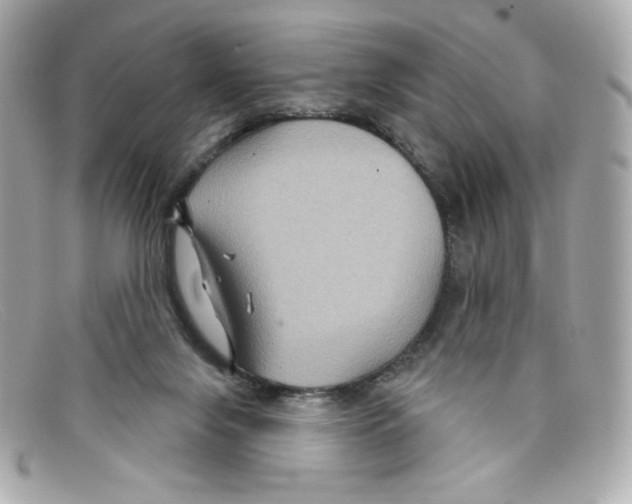 X0000097950071200804211047