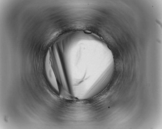 X0000097950072200804211047