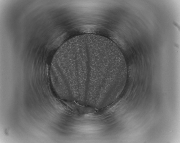 X0000097950073200804211047