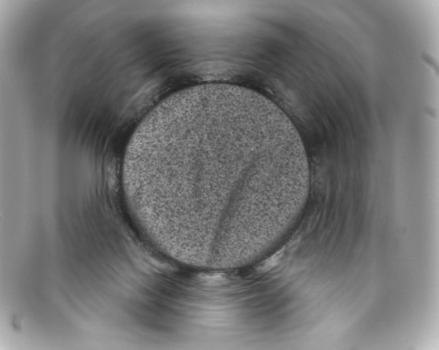 X0000097950074200804211047