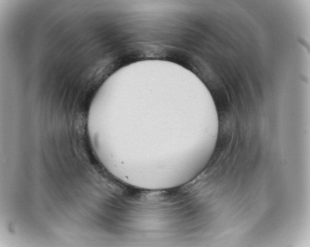 X0000097950078200804211047