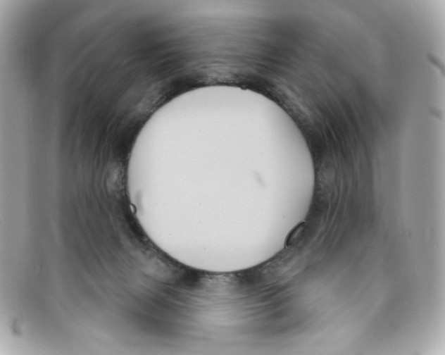 X0000097950079200804211047