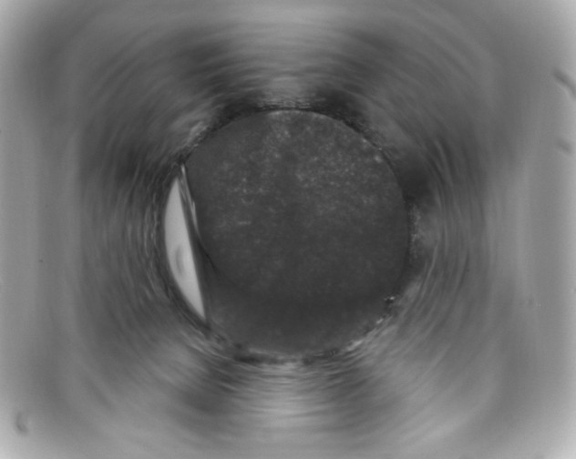 X0000097950080200804211047