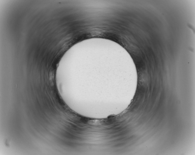 X0000097950082200804211047