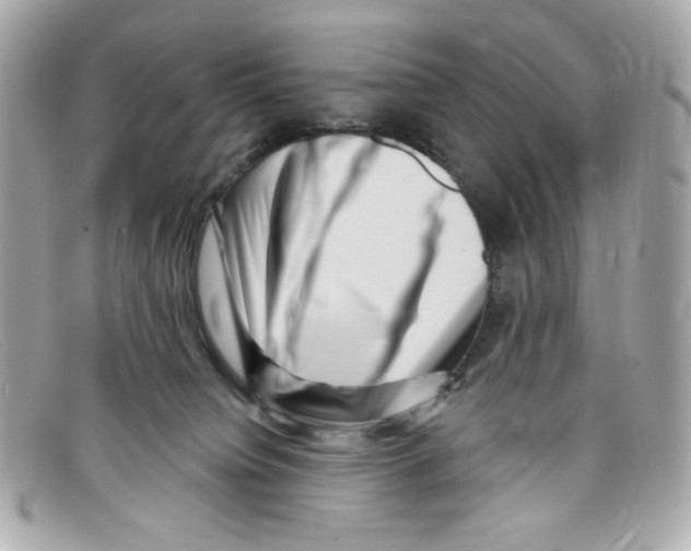 X0000097950084200804211047