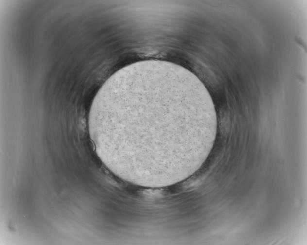 X0000097950085200804211047