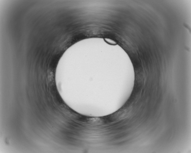 X0000097950087200804211047
