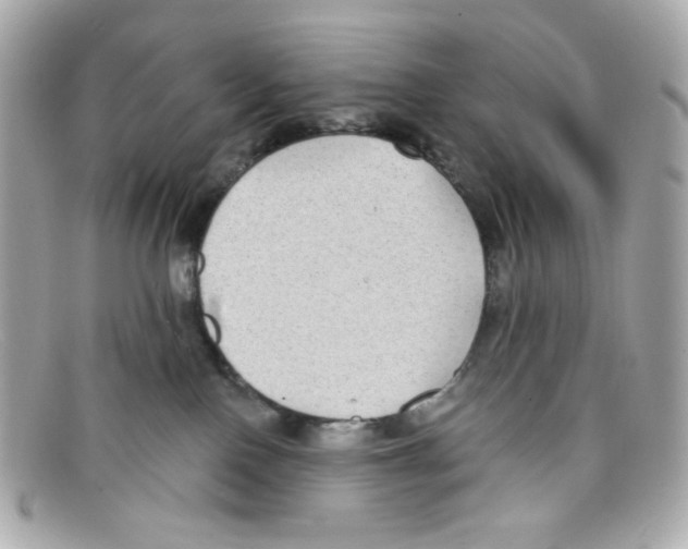 X0000097950090200804211047