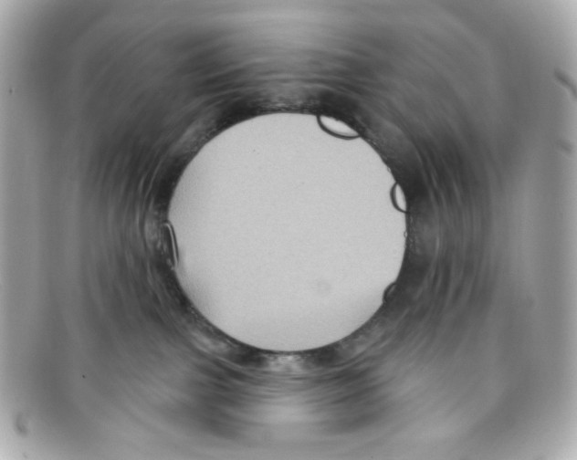 X0000097950091200804211047