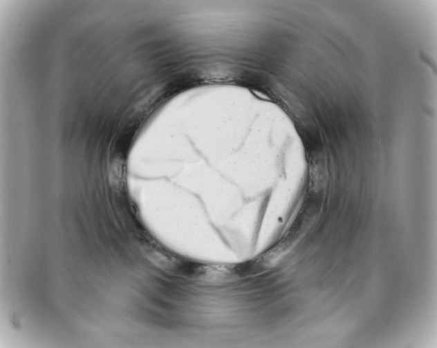 X0000097950093200804211047