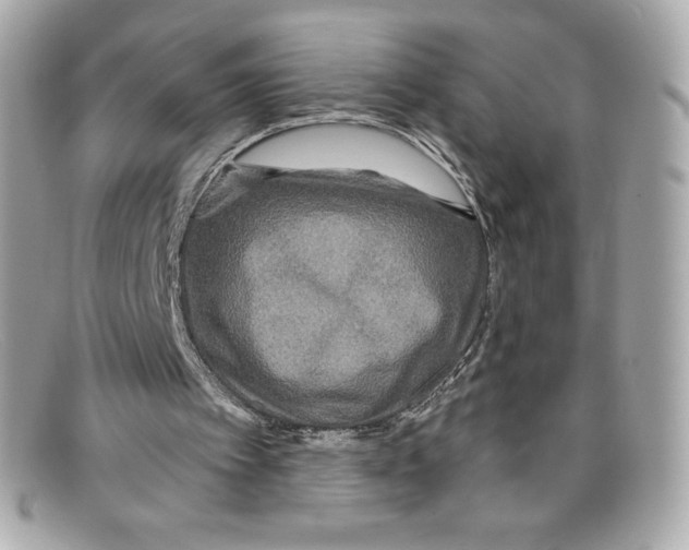 X0000097950097200804211047