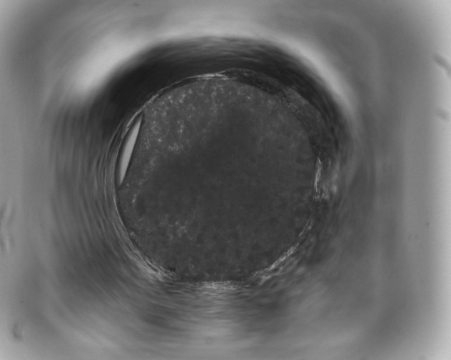 X0000097950099200804211046